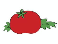 Screen Shot 2018-11-14 at 8.16.55 AM